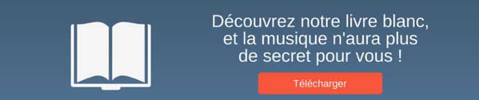Livre Blanc | Cours de Musique à Arlon - www.musique-arlon.be